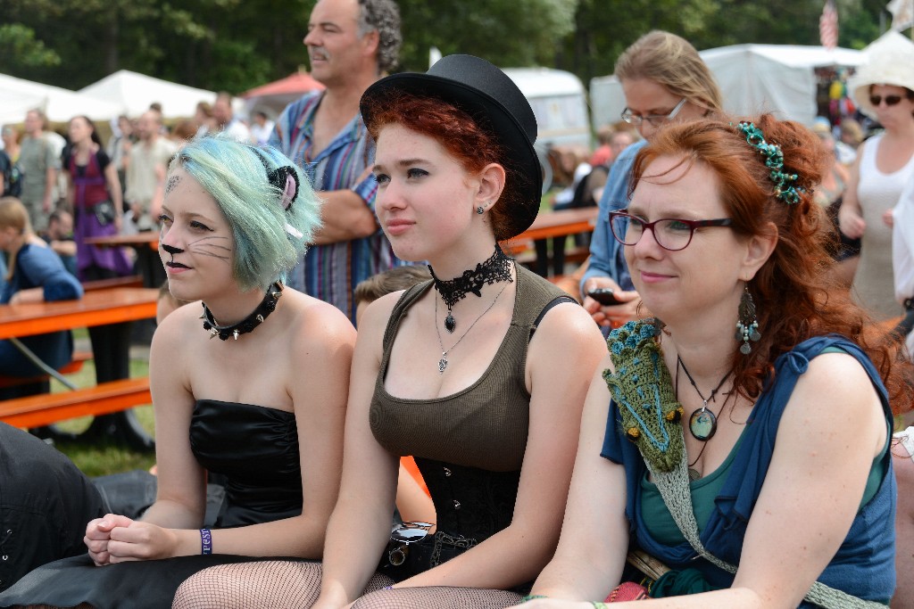 ../Images/Zaterdag Castlefest 2015 161.jpg